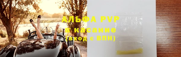 прущие грибы Нефтегорск