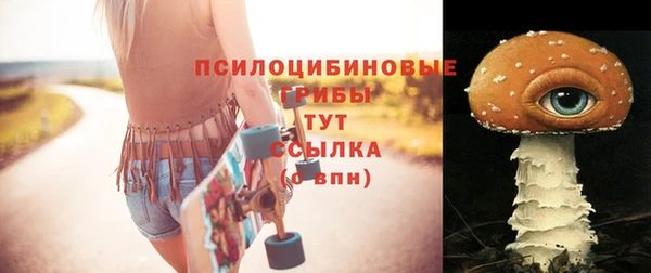не бодяженный Арсеньев