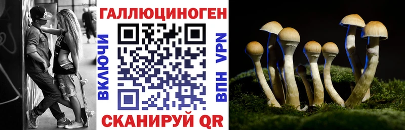 Галлюциногенные грибы GOLDEN TEACHER  ОМГ ОМГ ONION  Сурск  купить наркотики сайты 